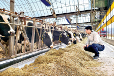 [현장] 용도별 차등가격제, 농가들에 주도권 없어 문제