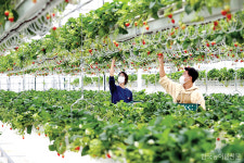 경남도 스마트팜 청년 인재 육성