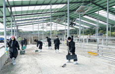 농협경제지주, 영농철 맞아 농촌 일손돕기