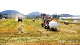 함안군, 고품질 조사료 생산 확충 박차