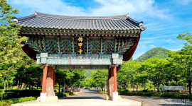 [특별기획/농어촌 지역개발 어디까지 왔나]  천년고찰 불갑사 연계…관광명소로 뜨는 불갑저수지