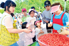 고창 복분자로 피로 풀고, 수박으로 더위 날리고