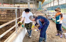 한우자조금 임직원 농장 실습