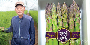 최고 품질 아스파라거스로 수출시장 개척…내수가격 안정 힘쓴다