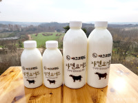 [특별기획/농어촌 지역개발 어디까지 왔나] 30만평 광활한 태신목장...해마다 10만명 이상 발길