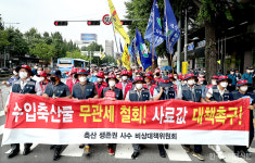 축산 농가 할당관세 2000억 투입, 국산도 지원을