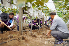 농협사료 임직원, 축산농장 호우피해 복구 구슬땀
