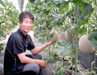 곡성멜론주식회사ㅣ40년 노하우로 재배한 고당도 프리미엄 멜론 세계 누빈다