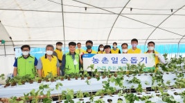 농협축산경제 임직원 농촌 봉사 구슬땀