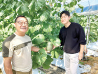 바이오차 투입 후 소득 90% 증가…원주 멜론·포도 농장 평가회