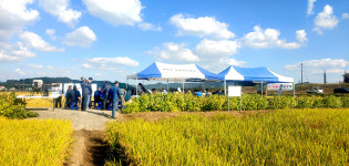 노동력·경영비 절감…서천군, 벼 직파재배 현장평가회