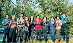 김성남 경기도의회 농정해양위원장, 사과수확 돕기