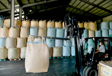 정부 시장격리곡 매입 품종 제한 원성 자자