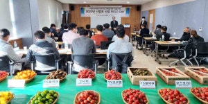 한국토마토수출(주), 일본 B2C 시장개척 위한 신품종 품평회