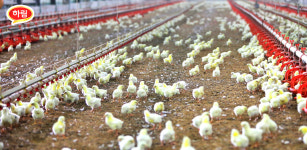 하림, 닭고기 공급 물량 늘린다…수급 불안정 해소 기대