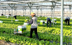전국인력홍성점 | 전북도, 농촌인력중개센터 전국 최다