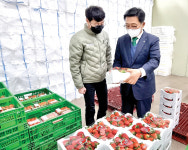 김춘진 aT 사장, 화순 도곡농협 찾아