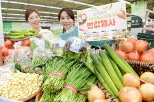 농협, 가격 급등 채소 8대 품목 최대 50% 할인전