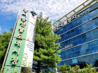강서시장 수박 파렛트화 추진…유통 종사자 시기상조 들썩