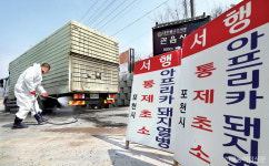 포천 대규모 양돈장서 ASF 농가 애탄다