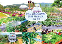 안성시, 전국 최초로 고향기부제 답례품 공공텃밭 제공