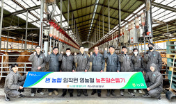 농협경제 축산디지털컨설팅부, 여주 한우농가 일손돕기
