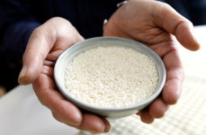 [도심 속 양조장을 찾아서] 6대째 술 빚는 중고신입…좋은 쌀 써야 술 맛도 좋아