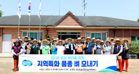경기도, 지역특화 벼 2종 모내기 시연