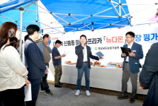 생과용 국산 파프리카 뉴다온 수량 우수