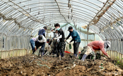 [현장] 오송 침수지역 복구작업 한창