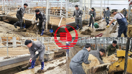 천하제일사료, 충남지역 수해복구 참여