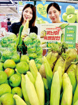 못난이 농산물이어도 괜찮아요…대형유통업체 판매 앞장