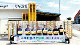 김제 지평선배 13톤, 캐나다 수출길 올라