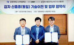 강원대, 이노씨드시스템에 '통일 감자' 기술 이전