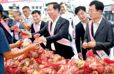 거창군, 하늘이 점지한 천사사과 판매