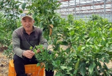 고정훈 장개빌레농원 대표 ㅣ지역주민과의 꾸준한 교류·배움…안정적 귀농 지름길