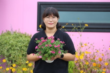 철원 고석정 꽃밭 내 꽃사랑 마을정원 다녀가세요