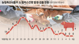 럼피스킨병 잦아들었다