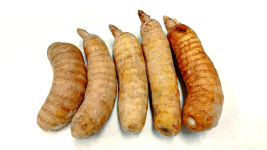 약용작물 천마, 뇌신경 보호에 효과