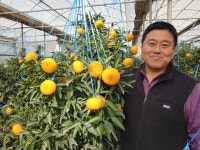 신종은 한농연서귀포시남원읍회 수석부회장 일과 삶 균형 있게 배분…농사일 속 여유 찾죠