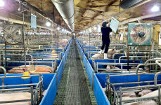 우리 농장도 대상?…농업계 중대재해처벌법 대응 막막