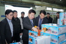 오영훈 제주지사, 경북 만감류 유통 점검