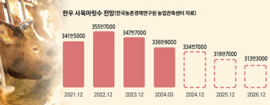 한우, 연말까지 가격 약세 전망…돼지, 전년 수준 유지할 듯