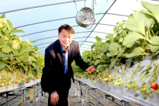 동남아에 딸기 수출 집중 20년…신시장 개척 준비할 때