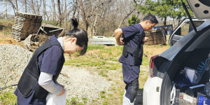 [농축산 필수 직업 탐방기] 소 뒷발에 차이는 것보다 후배들 퇴사가 더 힘들어