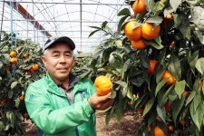 안재홍 하르방 농장 대표 농민이 가격 결정권 쥐려면 품질 기본, 지역단위 조직화 필수