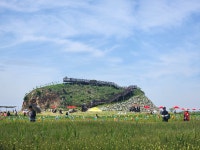 김제시, 진봉 새만금 보리밭 축제 성황