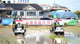 드문모 재배 비용·노동력 크게 절감