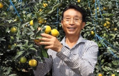 양인호 몰진밭농원 대표 농업경영 핵심은 위험 분산…감귤 재배품종 다양화 통했다