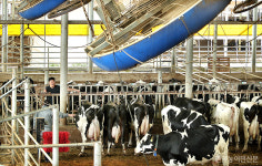 [화보] 축사, 폭염 대비 만전